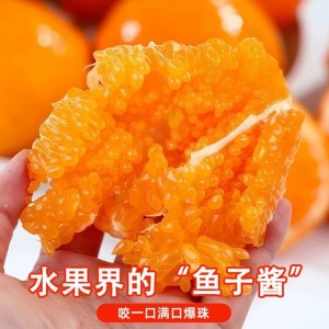 四川春见耙耙柑粑粑柑柑橘子当季新鲜水果丑柑桔橘电商一件代发